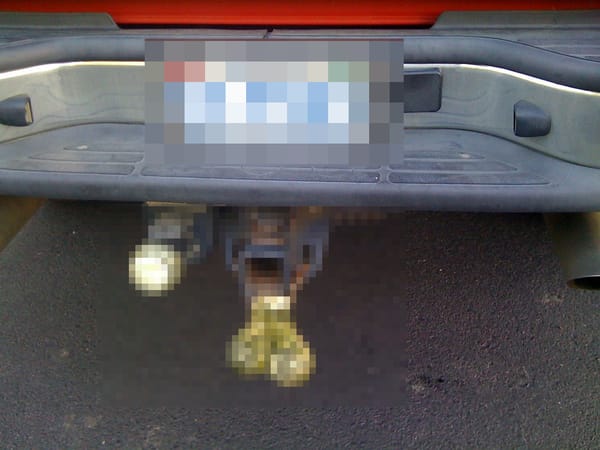 The Illusion of Civility: Truck Nuts, Order, and the Space In Between